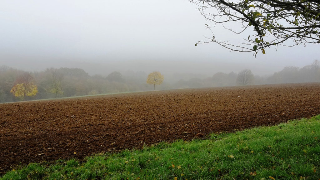 Feld mit Nebel als Vergänglichkeit